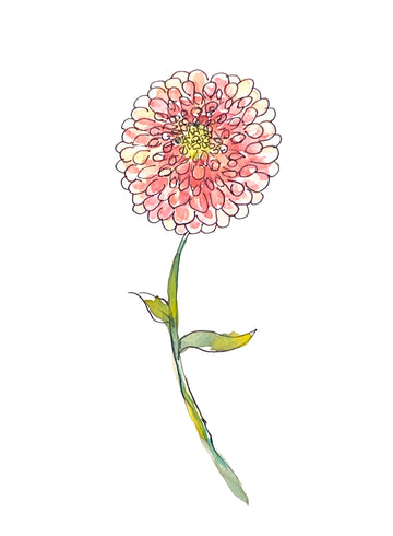 Dahlia