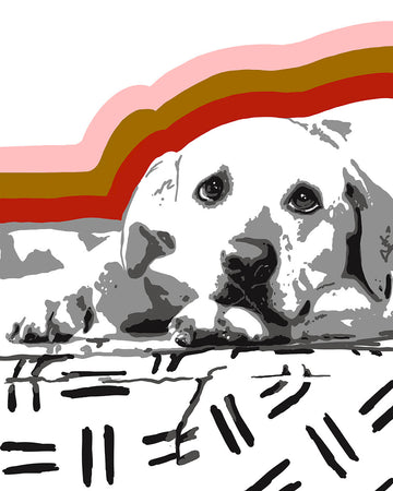 Sunshine Lab